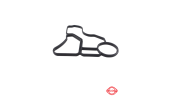 واشر خنک کن موتور بی ام و سال های 2006 تا 2016 (الرینگ) - 11428637821