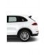 گلگیر عقب سمت چپ پورشه کاین سال های 2011 تا 2015 (اورجینال) - 95850398500