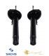 ست کمک فنر جلو بی ام و 325i سال های 2000 تا 2006 (ساچ) – 31312282097 Sachs-ساچ - 1